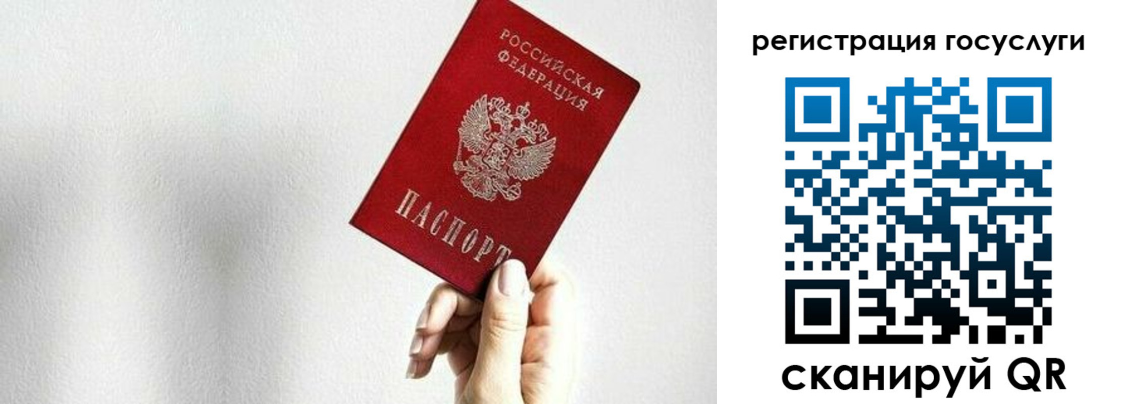прописка гарантия в Дорогобуже